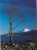 Schiehallion and Loch Rannoch